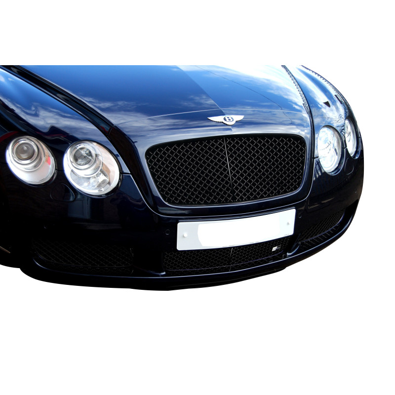 Continental GT Lower Grill Set